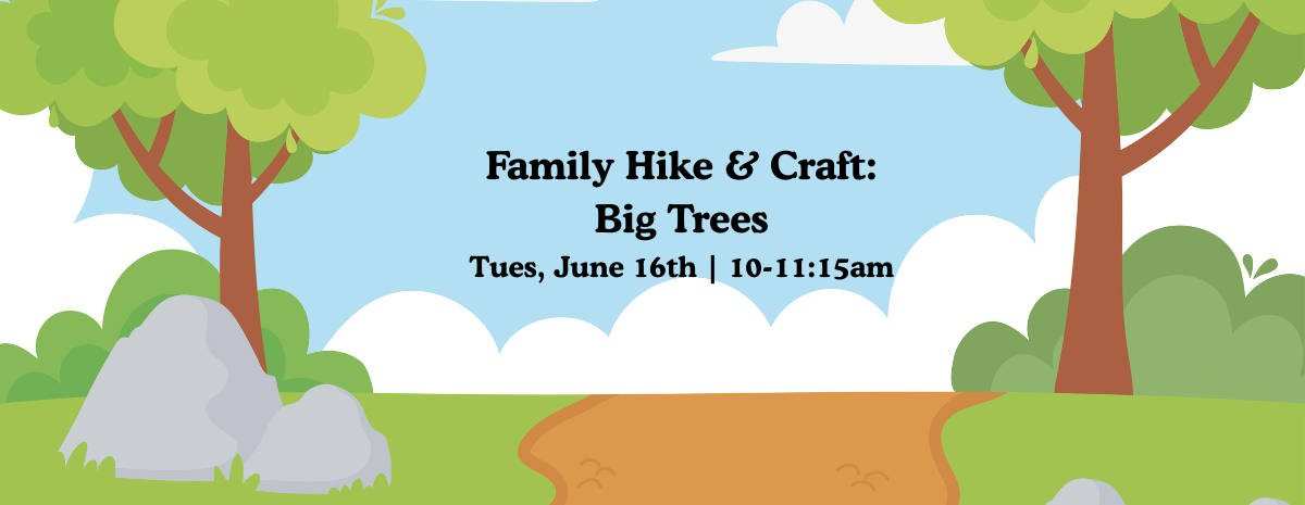 Family Hike & Craft: Big Trees